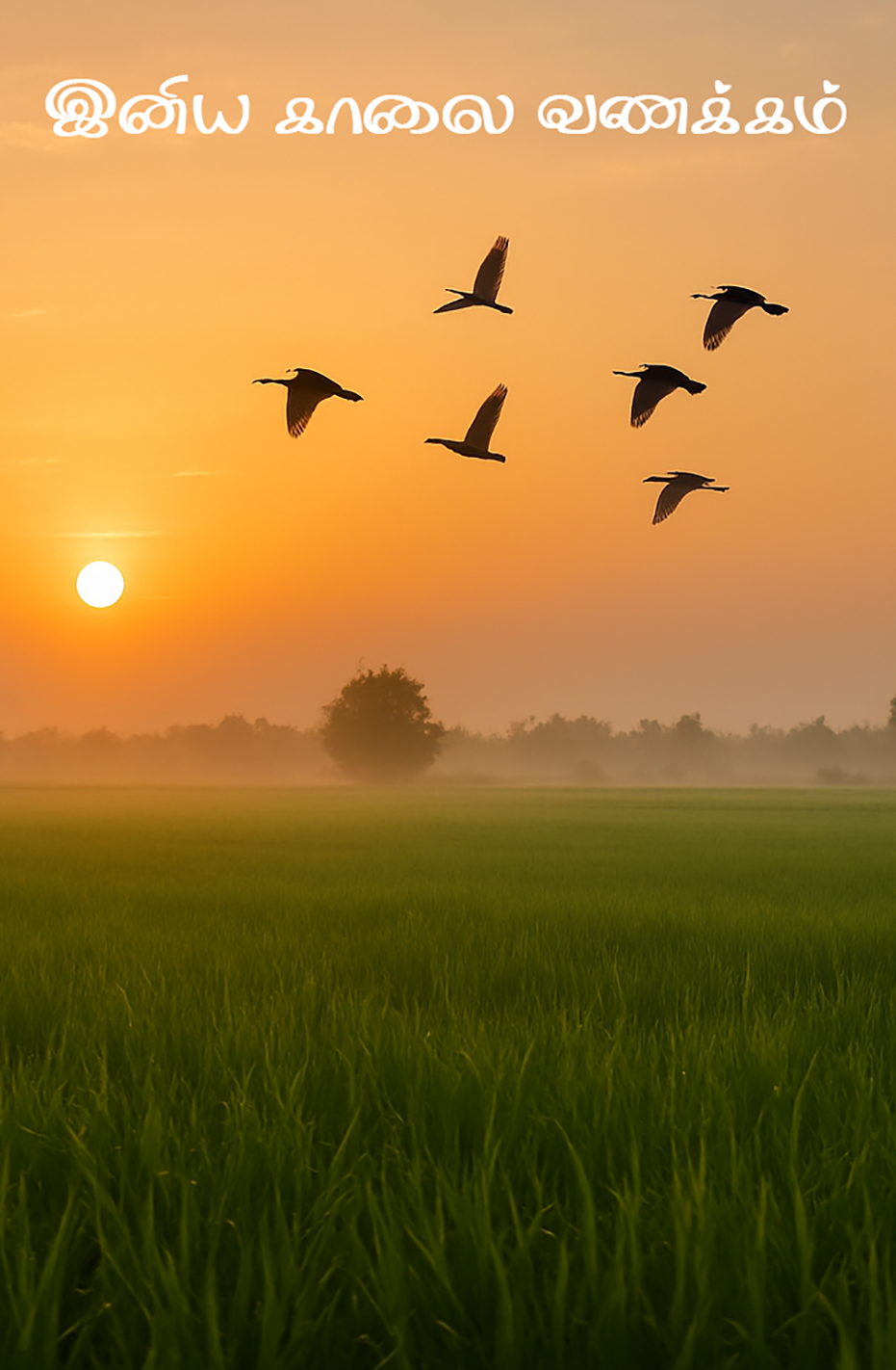 இனிய காலை வணக்கம் | Tamil Good Morning Greeting | Sunrise Nature Background